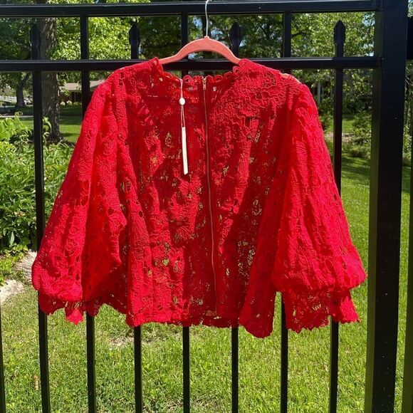 Anthropologie Sarah Hann Lace Blouse NWT - Picture 14 of 14